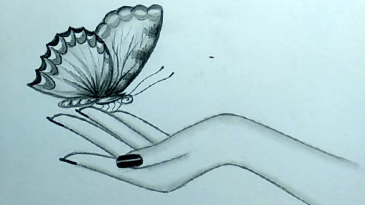 Cute Pencil Sketch Drawing Idea Beautiful Butterfly On Hand - YouTube