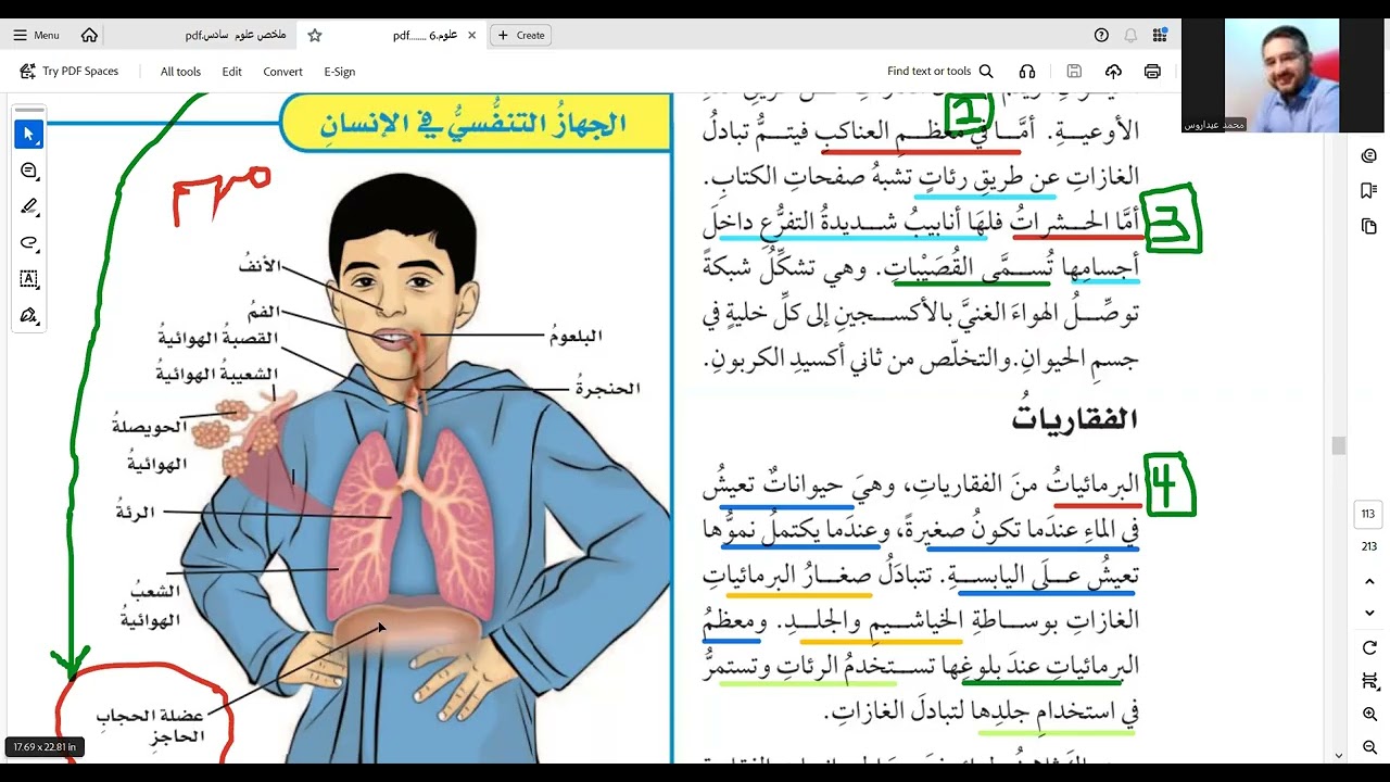 الدرس 7  الهضم والاخراج والتنفس و الدوران