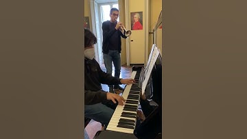 Thumbnail of Mozart,dall’opera Il Flauto magico,”Ein mädchen oder weibchen”.Jacopo Borghi 🎺,Tommaso Grandi 🎹.