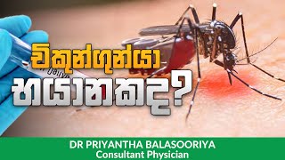 චිකුන්ගුන්යා භයානකයි - Chikungunya