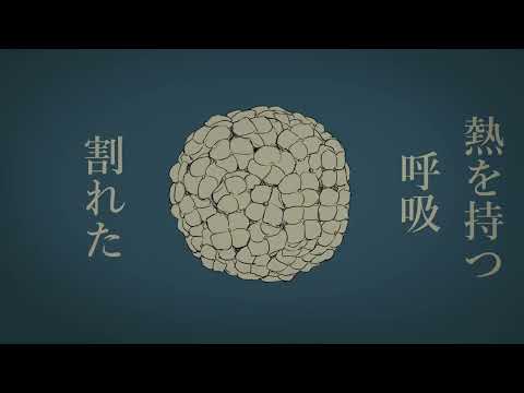 パメラ - Pamela / Covered by Cio.【歌ってみた】