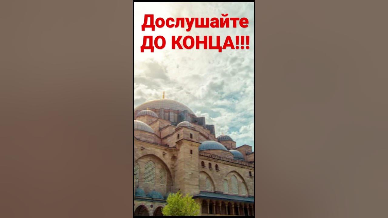 Сура Аль-Кадр // СВЯЩЕННЫЙ КОРАН// #islam #shorts #tiktok # ...