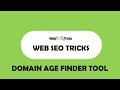 How to find the age of any domain using Web SEO Tricks