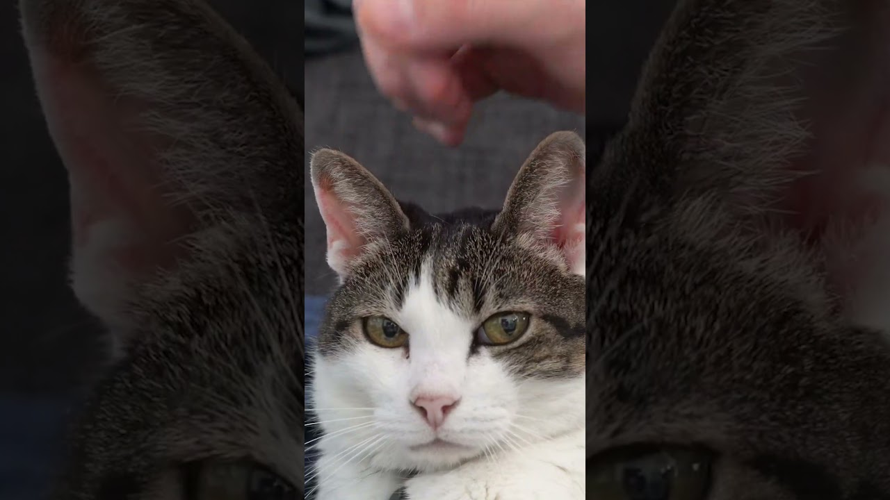 Tension is GONE!! - Classical Guitar Principles by Dr. Costa 