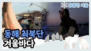 [뭉클한 계절 시리즈 '겨울'❄️] 고성 대진항 72시간 새로운 새벽을 꿈꾸는 어민들  | KBS 다큐3일 190112 방송