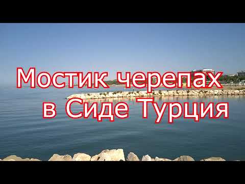 Сиде. Турция. Мостик черепах!