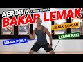 SENAM AEROBIK MEMBAKAR LEMAK PERUT -TANGAN - KAKI | UNTUK PEMULA