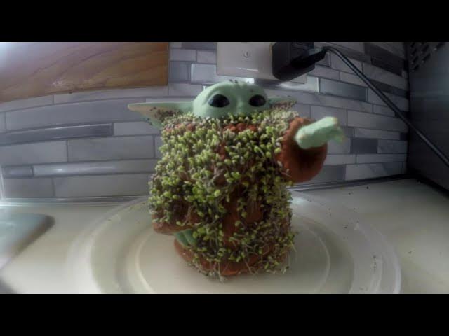 Chia Pet TV Spot, 'Richard Simmons, Minions, Sonic the Hedgehog, Bob Ross  and Groot' 