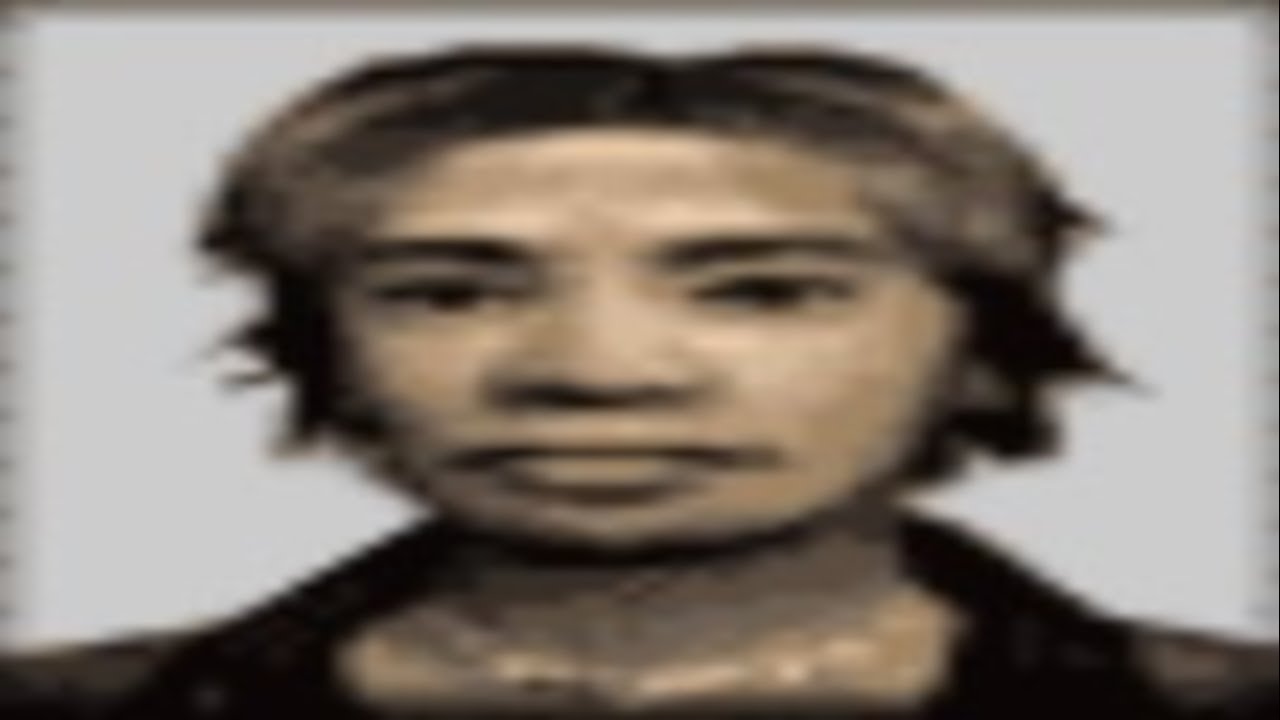 yakuza ps2 fiber optic cable core