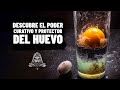 Misterios del Huevo: Magia y Poderes Secretos