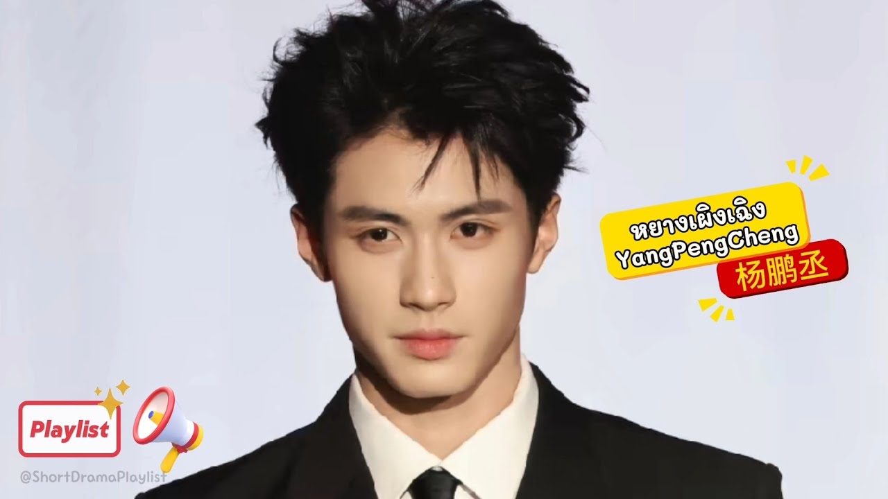 หยางเผิงเฉิง Yang Peng Cheng 杨鹏丞 Playlist