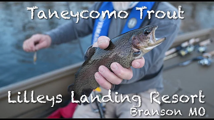 Ozarks Trout From Lilleys Landing Resort