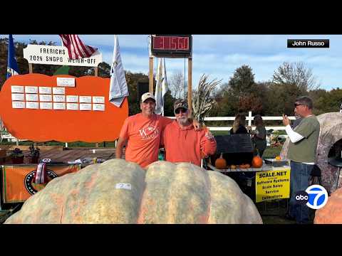3,156-pound pumpkin aims for world record