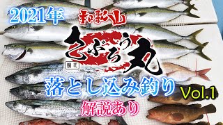 【スリル満点!!】人気の落とし込みサビキ・タテ釣り釣行記① ヒットシーン・仕掛け・釣り方のご紹介～DAIWA 19 リーディング スリルゲーム Y・20 シーボーグ200JL-DH＠和歌山 さぶろう丸