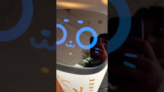 Robot Waiter Revolution: Next-Gen Service in Action! 🤖🍽️ #RobotService #YouTubeShorts #innovation