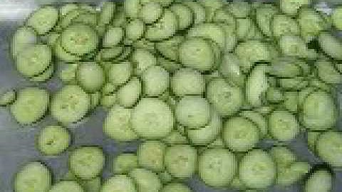 【video】 FC 306  cucumber slicing machine