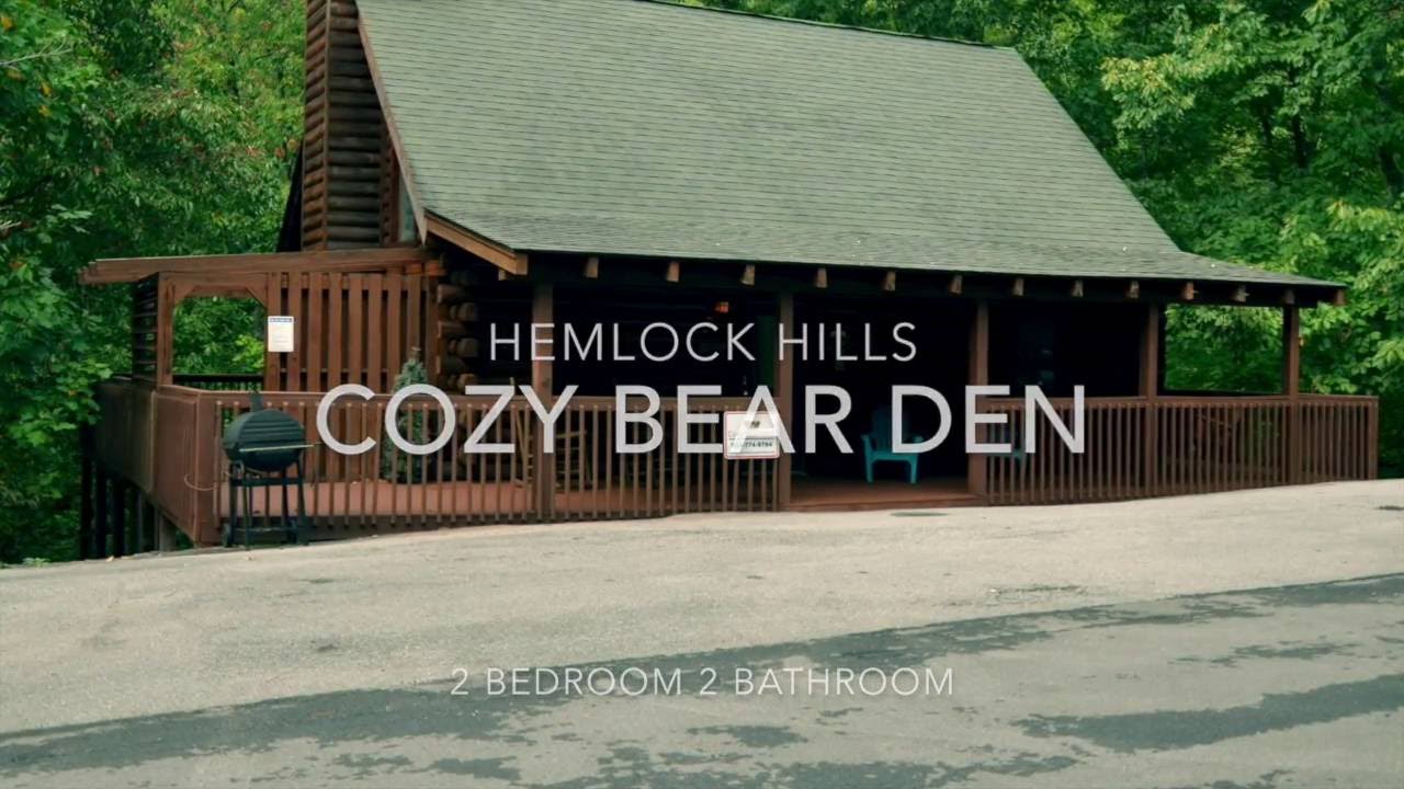 Cozy Bear Den 2016 Youtube