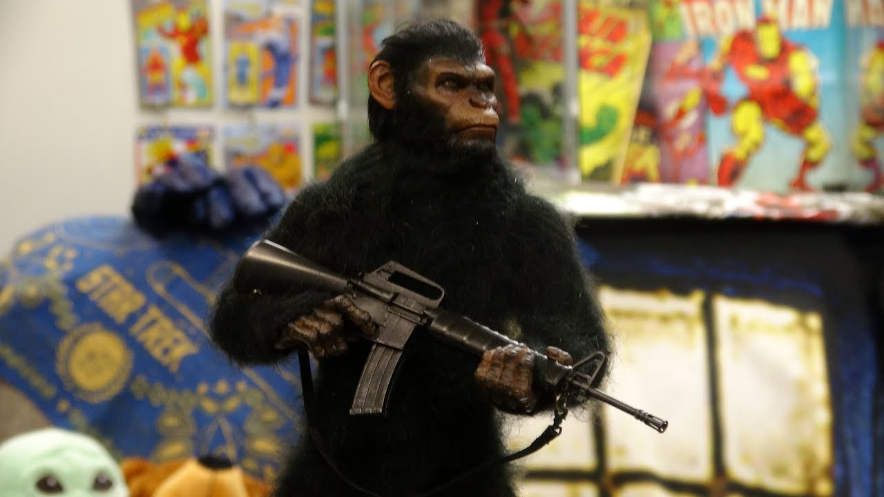 1/6 figure ,Hellcat DYM202402A (Caesar) Planet of the Apes - YouTube