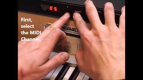 Peavey Spectrum Synth Switch-On Procedure