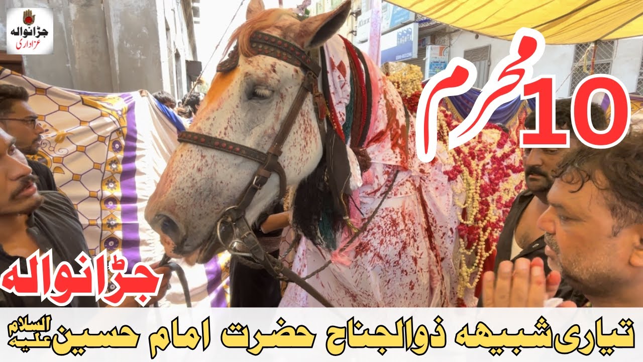 Tayari Zuljinah Imam Hussain as | 10 Muharram 2024 | Jaranwala Azadari