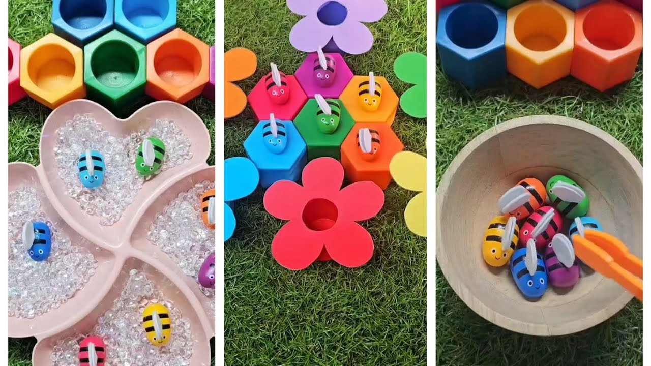 Color sorting bees compilation asmr !