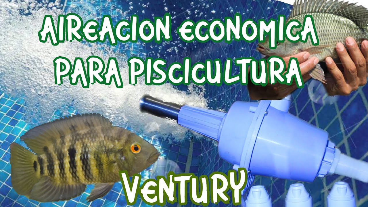 SISTEMA VENTURY PARA AIREACION DE PECES tratamiento de agua aeration