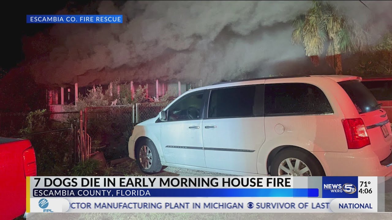 7 dogs die in early morning house fire: Escambia Co. Fire Rescue - YouTube