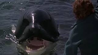 Free Willy 2 Trailer