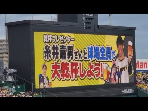 阪神タイガース　蛍光色ハッピ（法被）亀山選手　入手困難 阪神タイガース 蛍光色ハッピ（法被）亀山選手 入手困難 - メルカリ