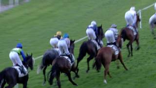 Vidéo de la course PMU PRIX DE FRANCFORT