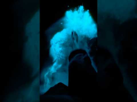 I CAN’T BELIEVE THIS IS REAL 🌟🌎🧬 #bioluminescence #travel #vanlife #nature #earth