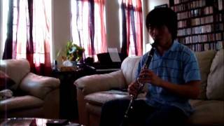 Supercell - Utakata Hanabi (clarinet cover)