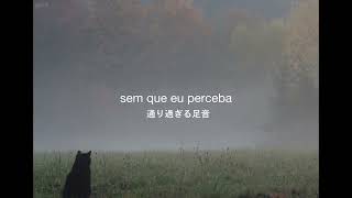 Vídeo de Rainy Tapestry