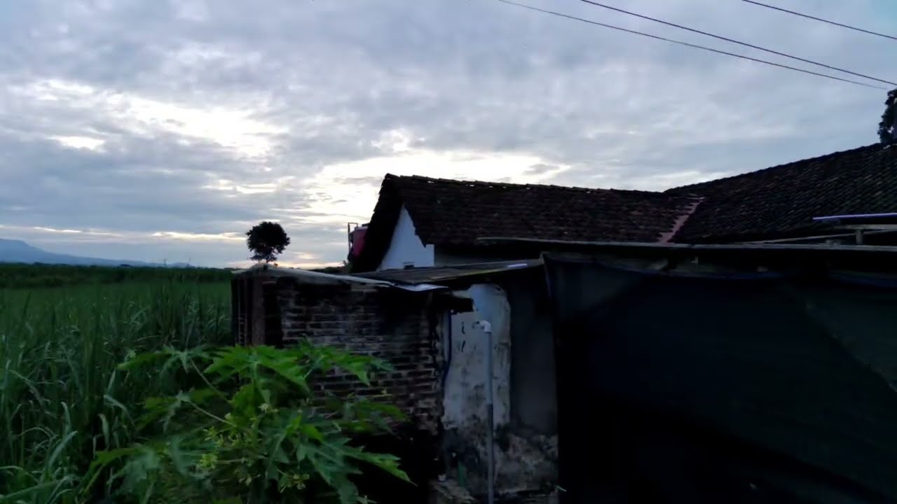 SUASANA PAGI HARI DIBULAN ROMADHLON PERTAMA DILIHAT DARI UDARA