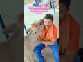 #shorts#video#udisa#mein#Gau# Mata#ka Seva#karte# hue#viral