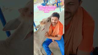 #shorts#video#udisa#mein#Gau# Mata#ka Seva#karte# hue#viral