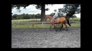 Graziano Flat Work