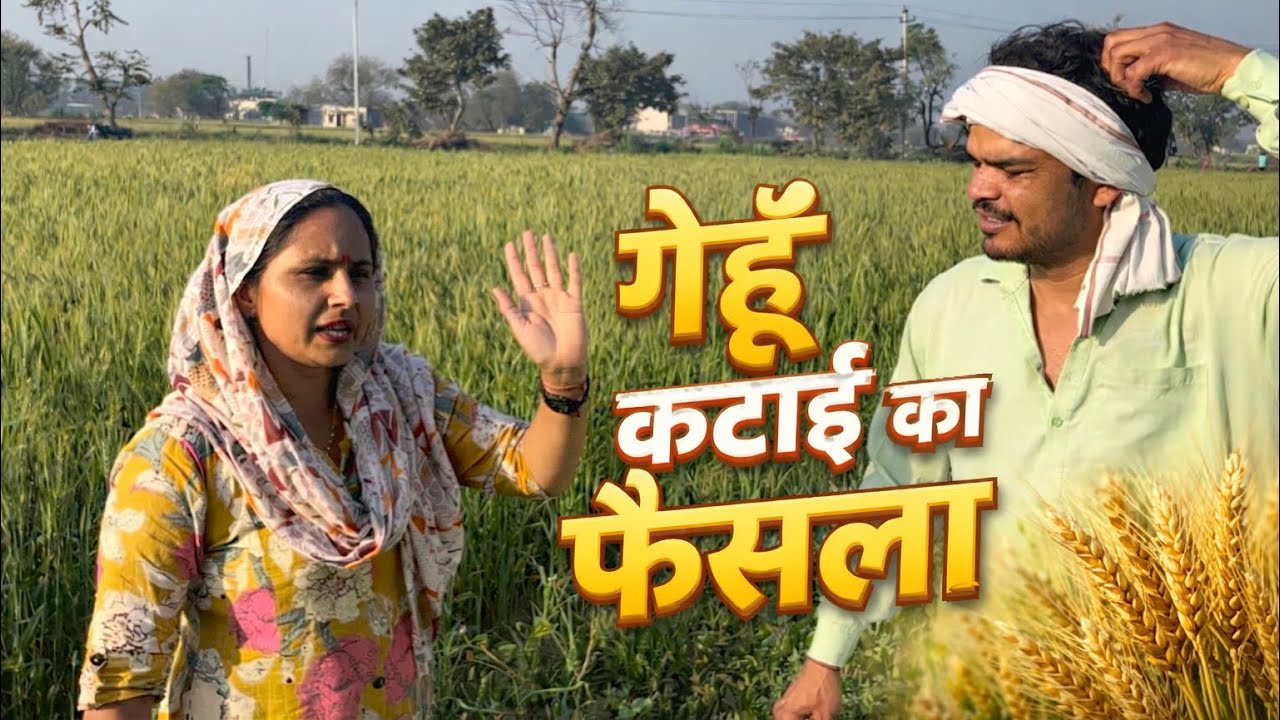 गेहूँ की कटाई का फैसला कैसे होगी? #nandubaba #desicomedy #video #comedyvideo 