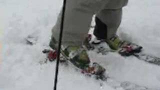 Shredding The Gnar - Washington DC