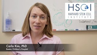 Meet HSCI's Carla Kim, PhD