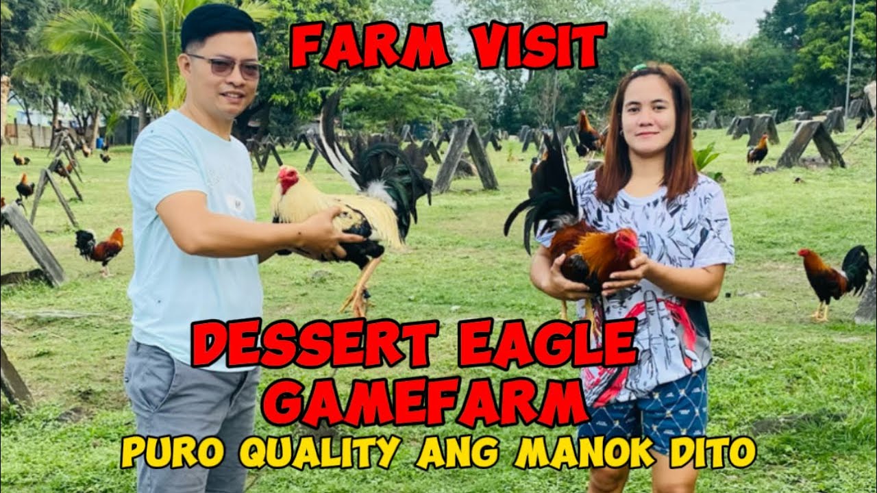 FARM VISIT SA DESSERT EAGLE GAMEFARM