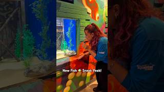 Let’s check out our brand new exhibit, Graffiti Reef, with Isabella the educator! 🐠🐡🪸