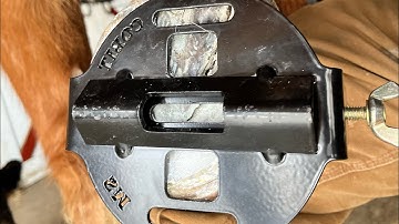 Intro to the COBIT (Centre Of Balance Indicating  Tool) with Ross Smith and Prime Equine