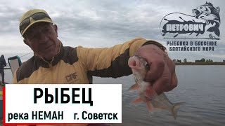 VLOG: Рыбец! Рыбалка в черте города. Октябрь 2020.