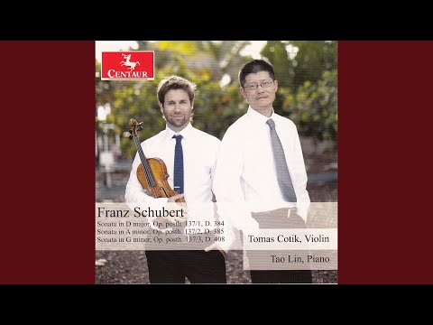 Violin Sonata (Sonatina) in D Major, Op. 137, No. 1, D. 384: II. Andante