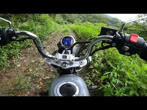 鄉間小路