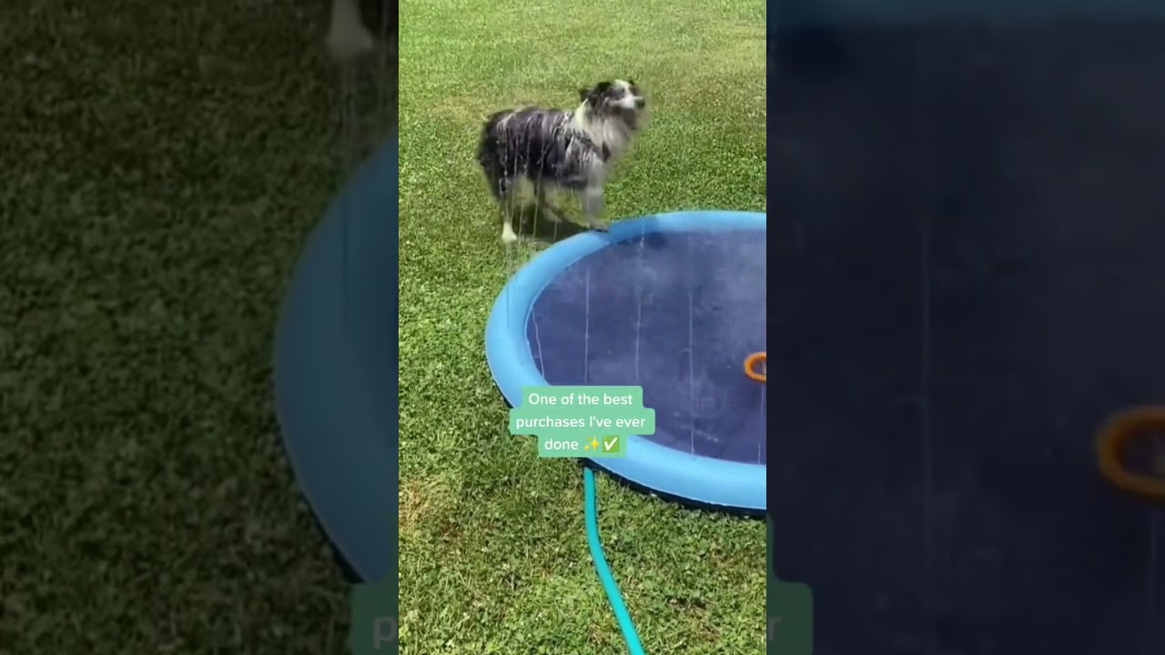 Doggy Sprinkler Pad