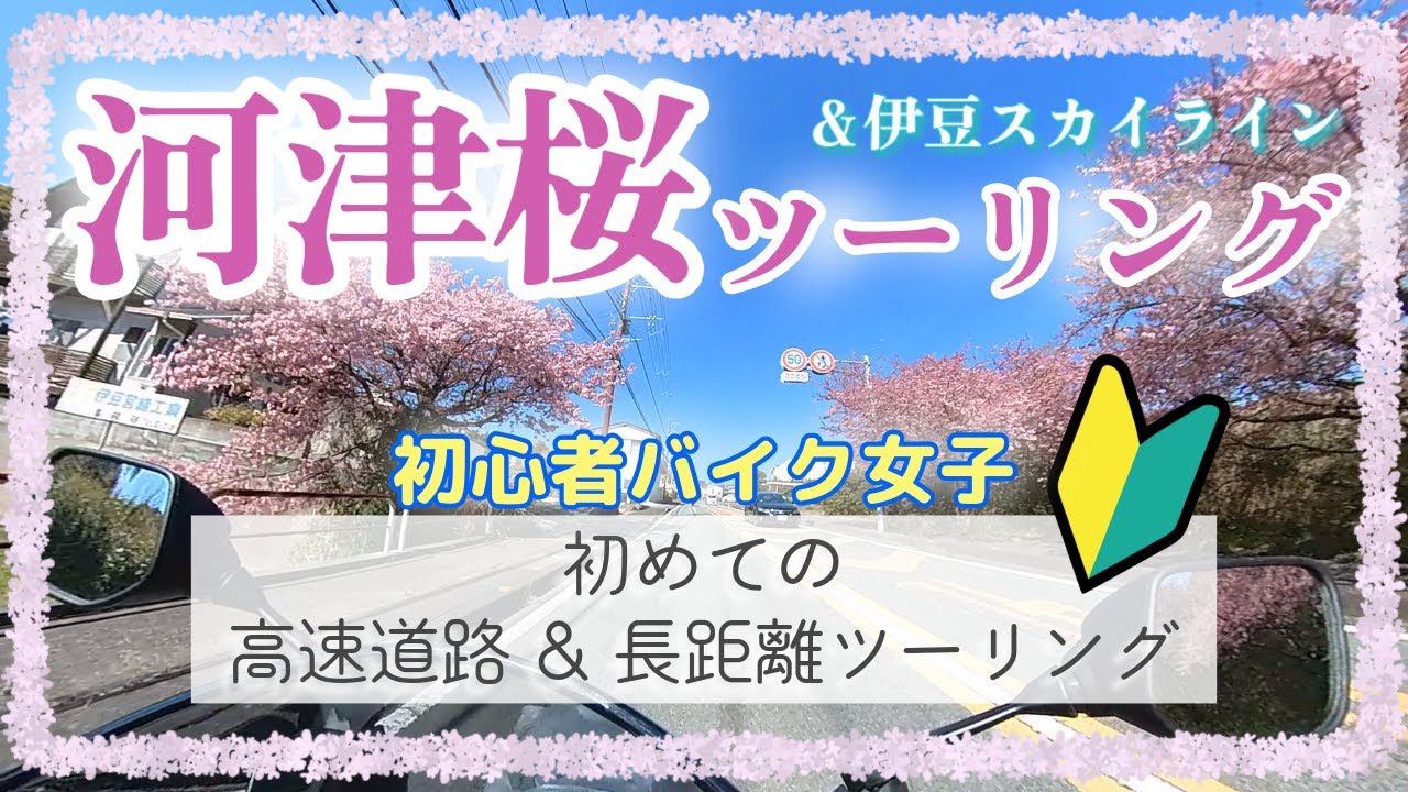 【バイク女子】河津桜ツーリングで初の高速道路に挑戦《伊豆・河津桜まつり》