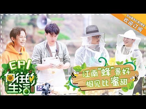 陸綜-嚮往的生活S2-EP 01-呆萌彭昱暢不分黃鱔泥鰍徐崢花式秀廚藝獲點贊