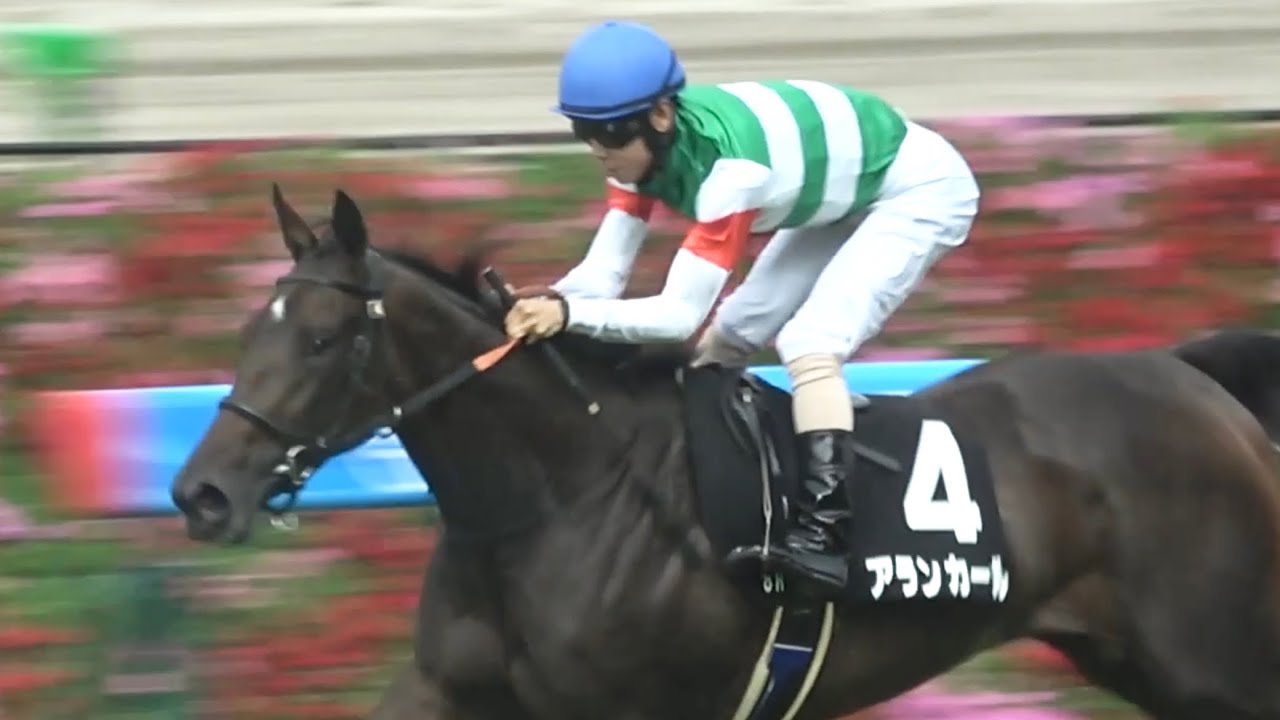 Local] 2025 Nojikiku Stakes Arancar by Yuichi Kitamura [Hanshin